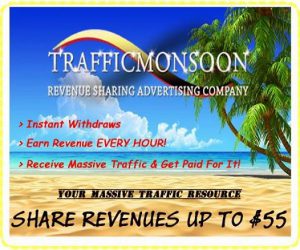 The Traffic Monsoon Review
