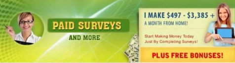 Paid Surveys and More Banner