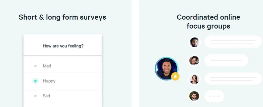 Branded Surveys Options