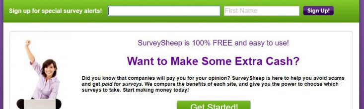 Survey Sheep Review