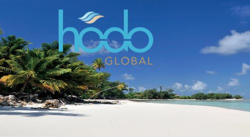 What Is Hodo Global